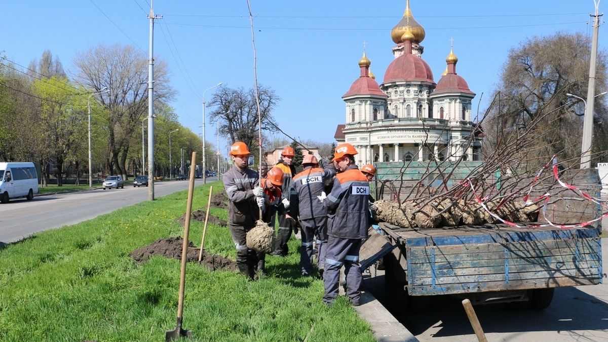 ДМЗ вместе с жителями Днепра высадил 80 молодых деревьев