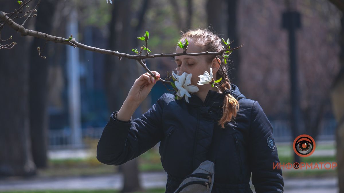 Помощь приюту для животных, инклюзивная экскурсия по набережной и ликвидация огромной свалки: топ хороших новостей недели