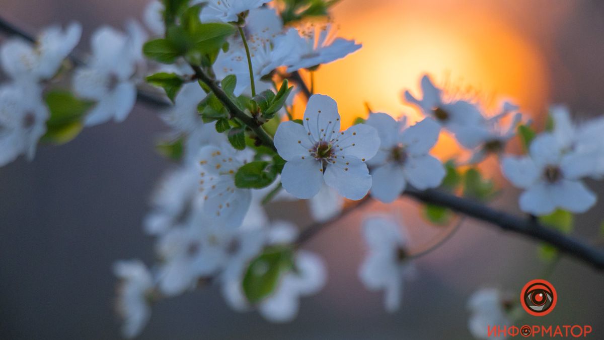 Какой будет погода в Днепре в ближайшее время и когда наступит метеорологическое лето