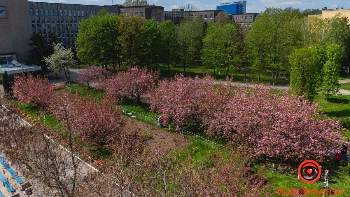 Какой будет погода в Днепре в праздничные выходные