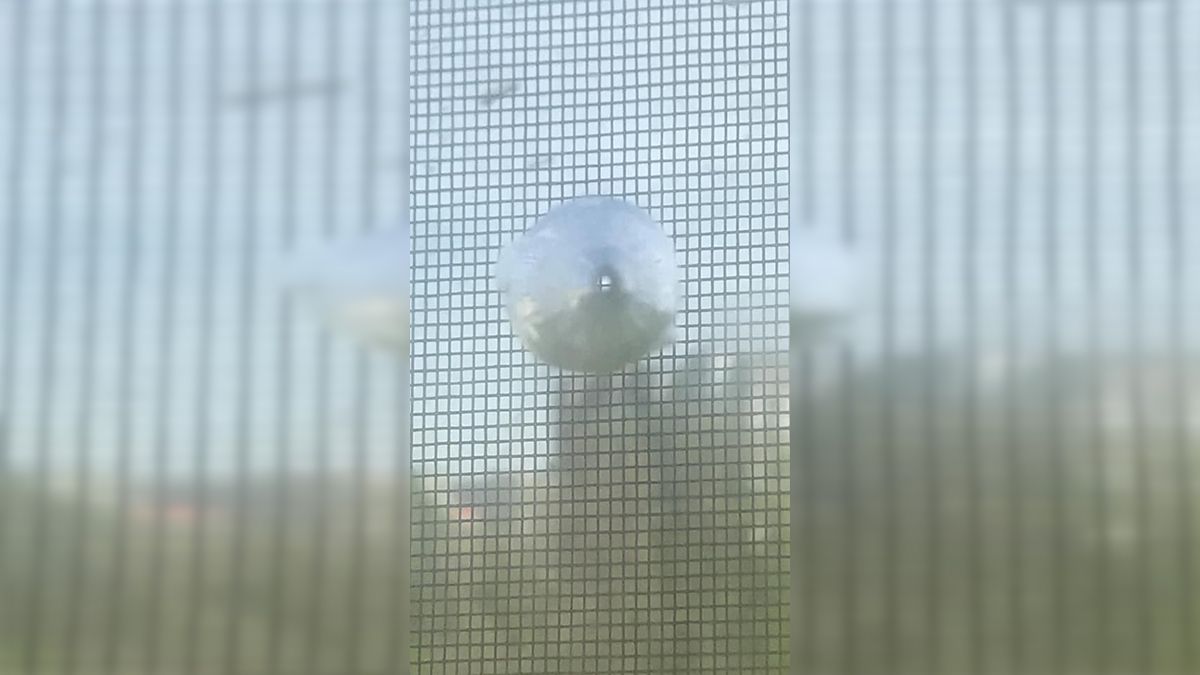 В Днепре на Поля обстреляли окна квартиры