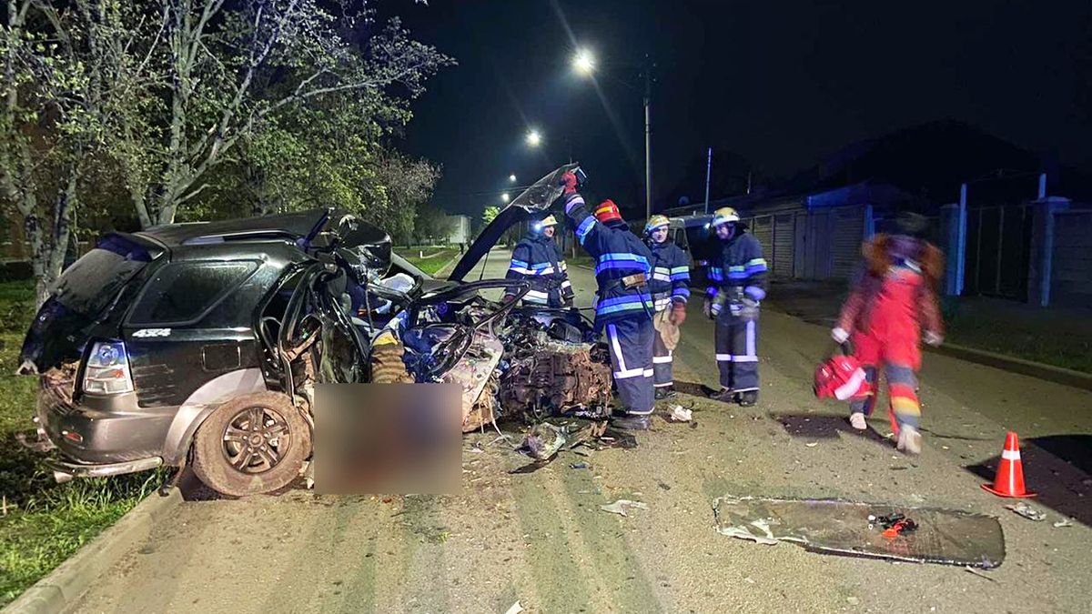 В Днепропетровской области Kia влетел в дерево, погиб мужчина: поиск свидетелей