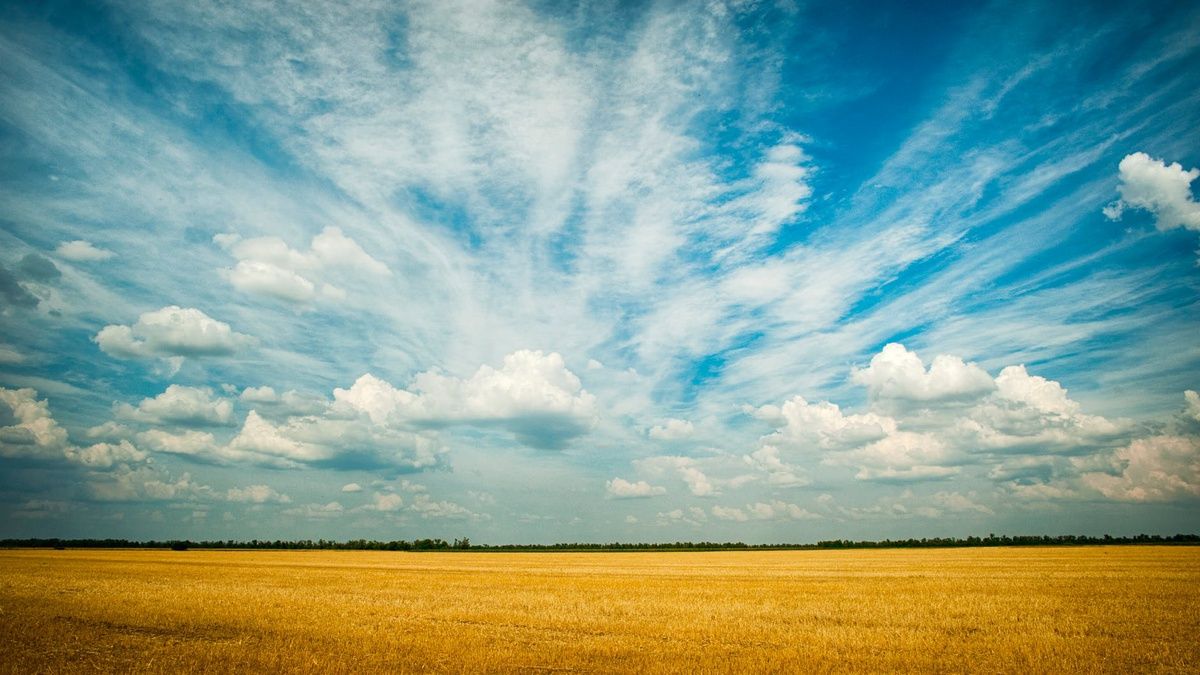 Альтернативное мнение юриста о земельной реформе