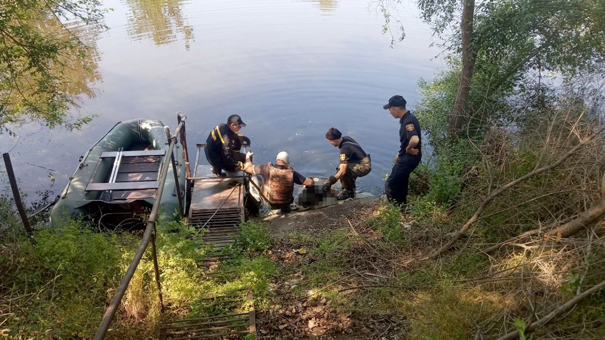 В Подгородном из реки достали тело мужчины