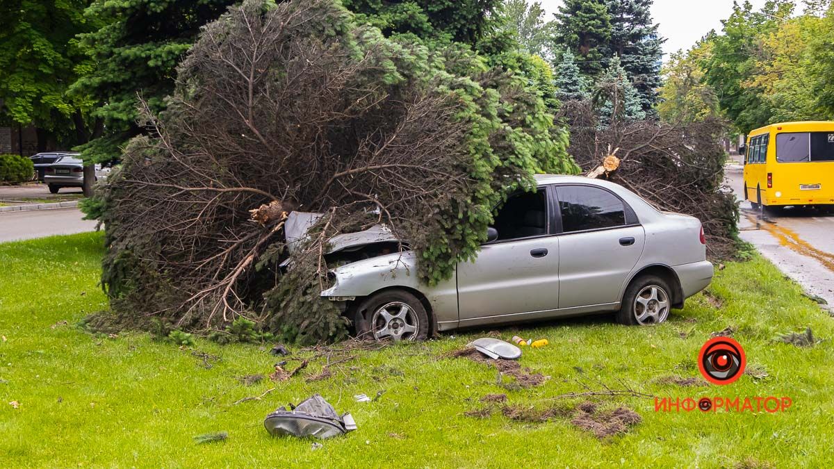 В Днепре на Гагарина Daewoo вылетел на газон и снес три ели: водитель сбежал