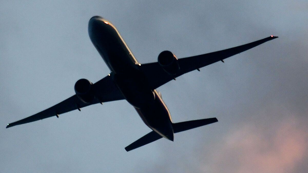 В какие страны можно полететь в карантин: интерактивная карта