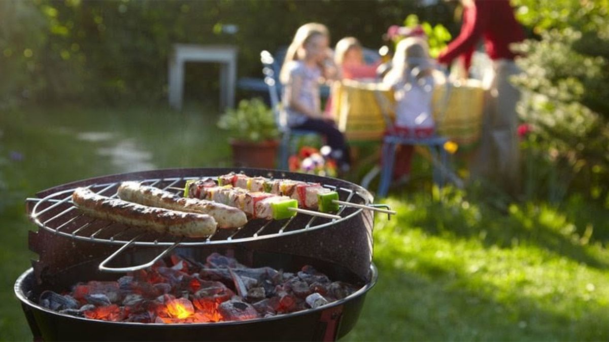 Пожарить шашлыки с удовольствием и без хлопот поможет Dmart