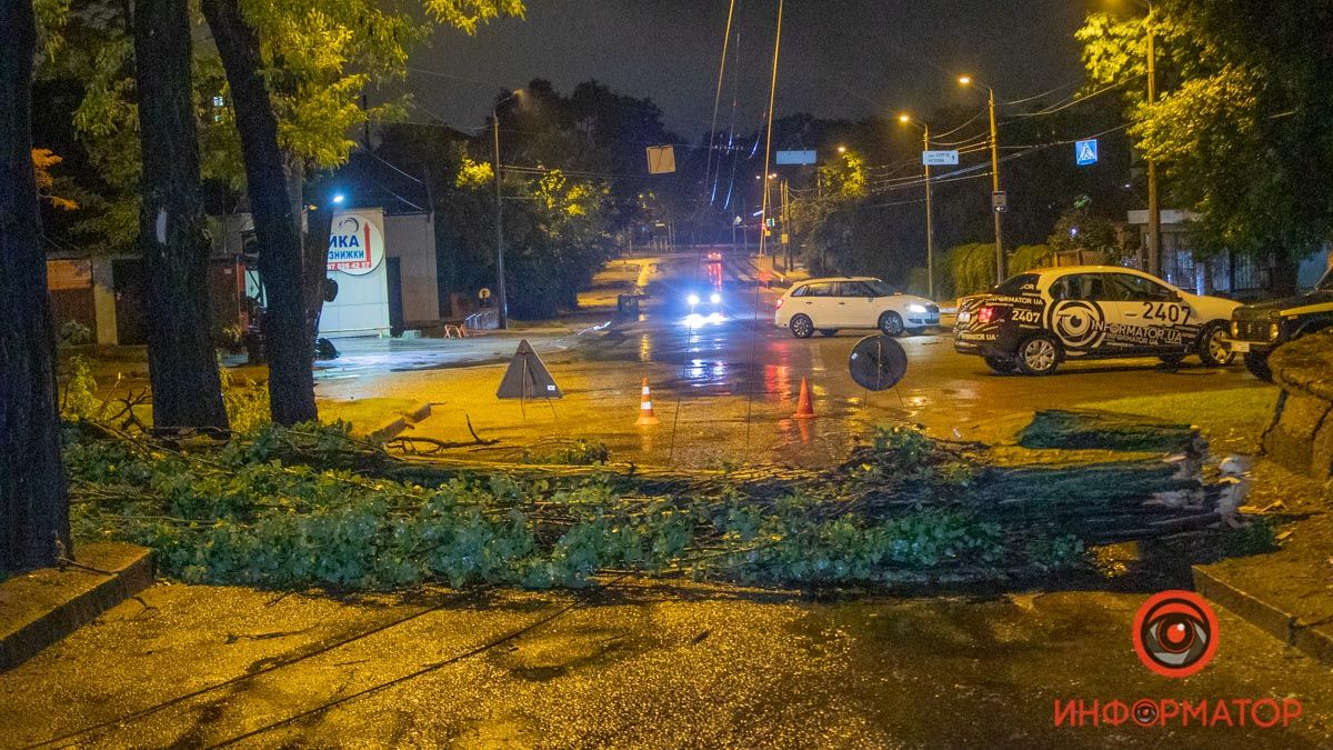 В Днепре на проспект Пушкина упало дерево, оборвало провода и перекрыло дорогу