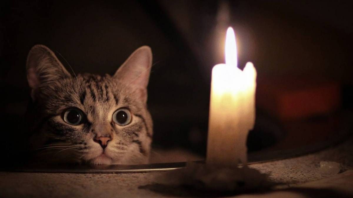 В четверг в восьми районах Днепра может не быть света: список адресов