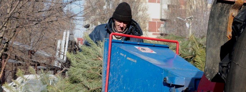 Получи ответ: куда деваются в Днепре новогодние елки (ФОТО, ВИДЕО)