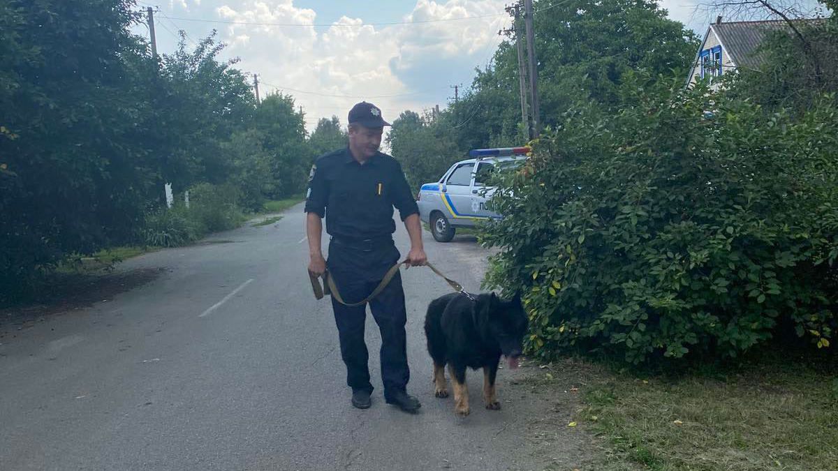 Сбежала из дома и пряталась в кустах: в Днепропетровской области нашли пропавшую 10-летнюю девочку