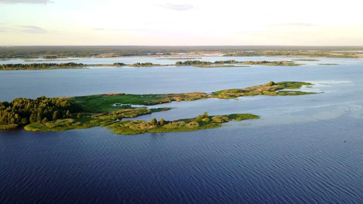 Государственная экологическая инспекция о состоянии водных объектов Днепропетровской области