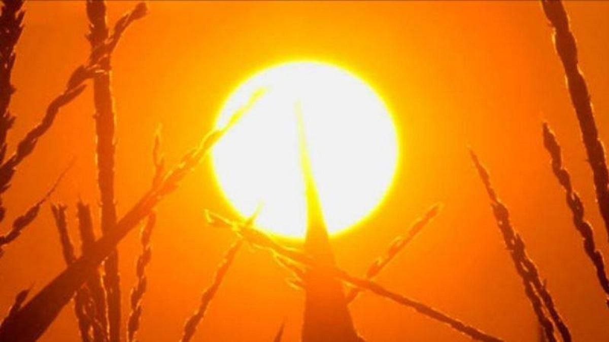 До 38 градусов жары: синоптики рассказали, какой будет погода в Днепре на этой неделе