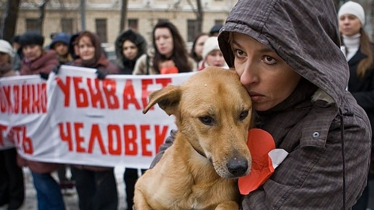 В Украине ужесточили ответственность за издевательства над животными