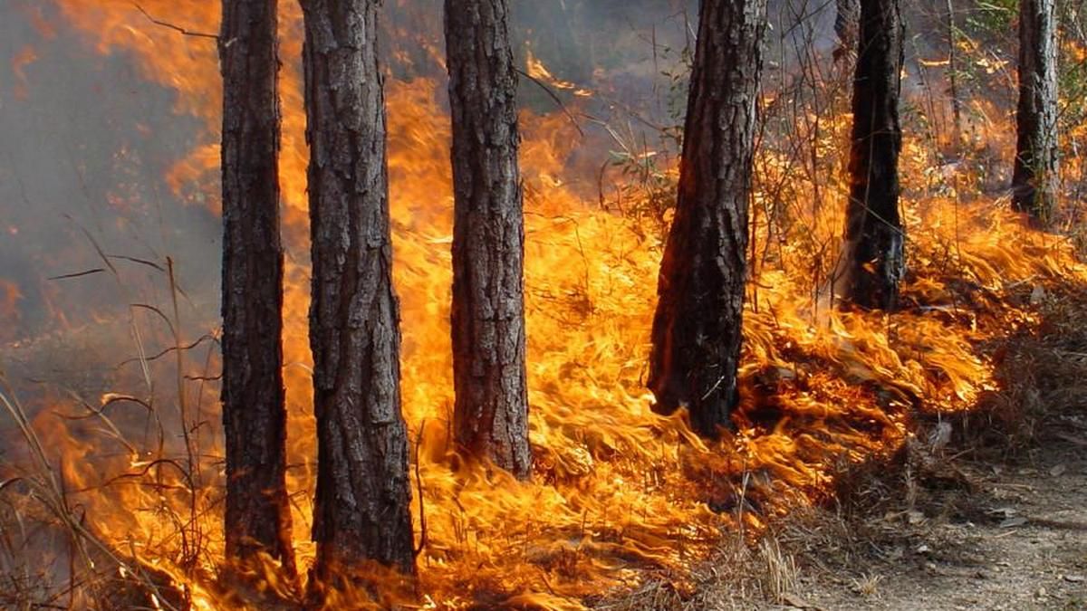 В Днепре и области сохраняется чрезвычайный уровень пожарной опасности: будьте осторожны