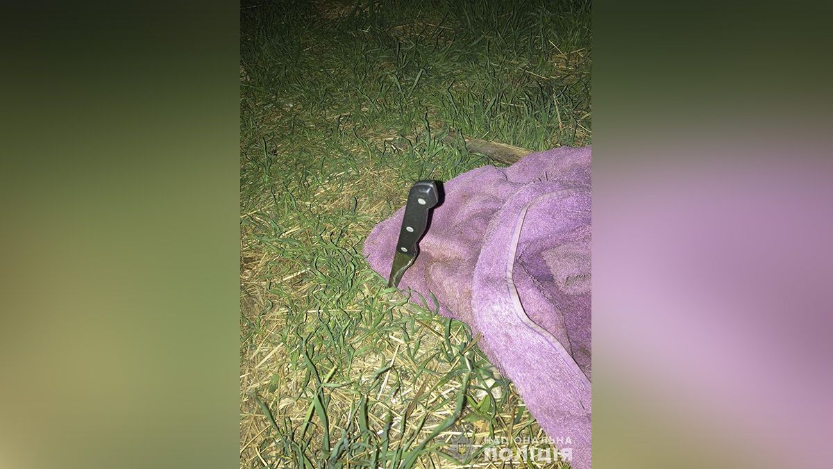 В Днепропетровской области 55-летний мужчина зарезал своего квартиранта