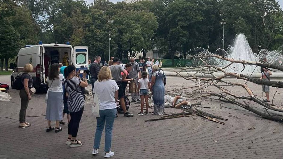 В Днепре в сквере Героев на мужчину упало дерево: у пострадавшего переломы ног