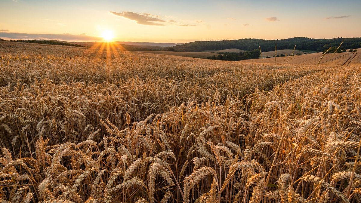28 августа: какой сегодня праздник
