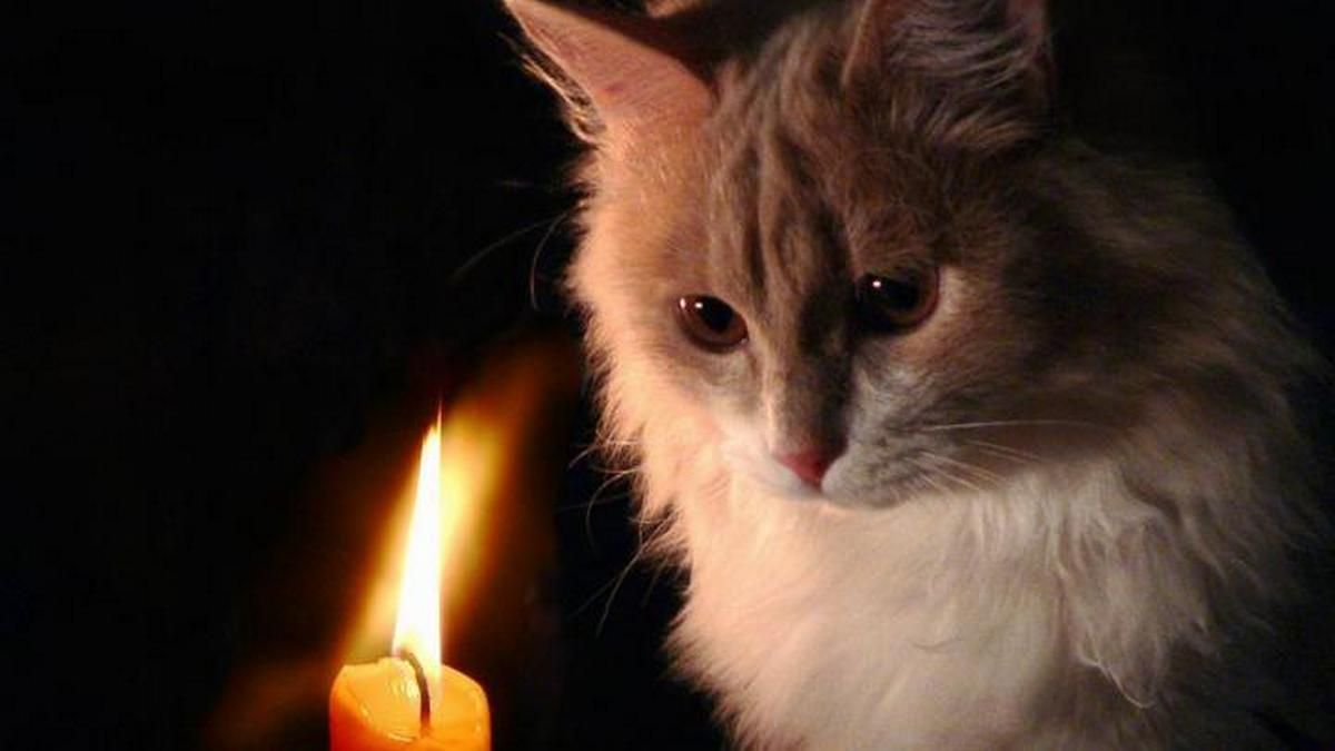 В понедельник в семи районах Днепра может не быть света: список адресов