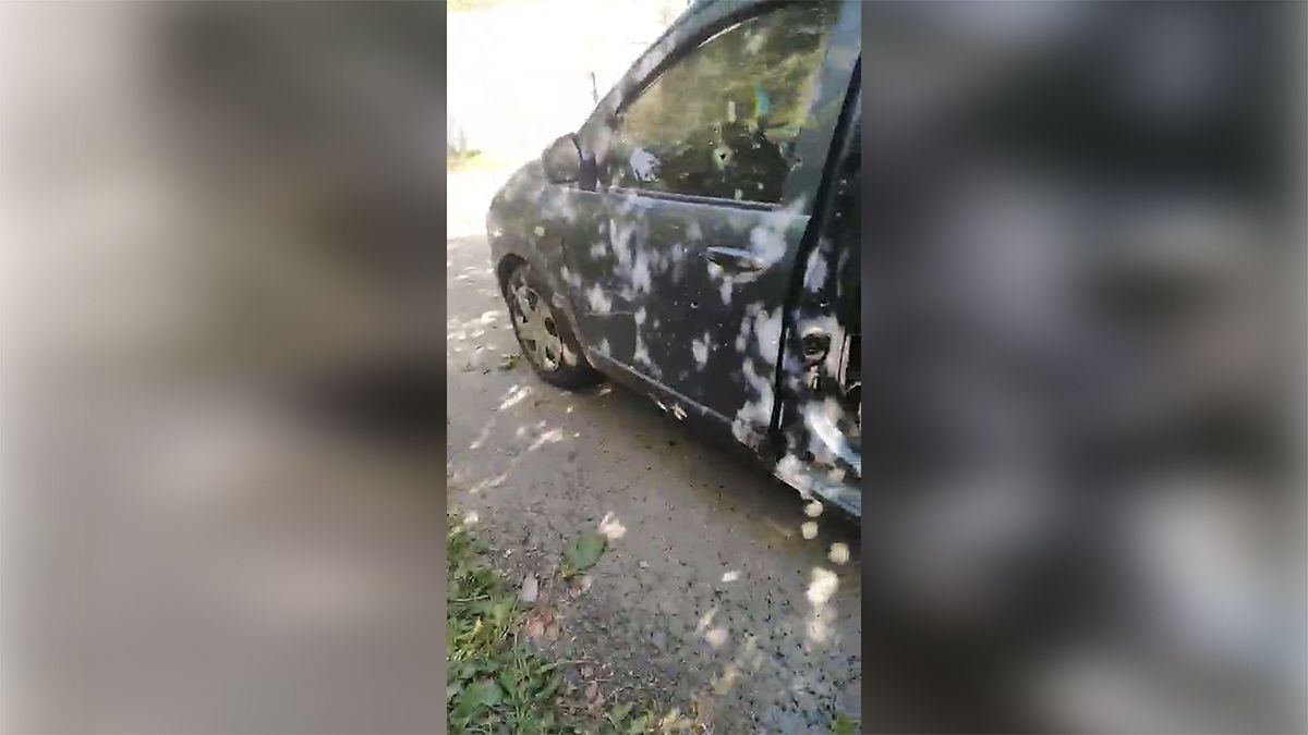 В Днепропетровской области в Renault взорвалась граната