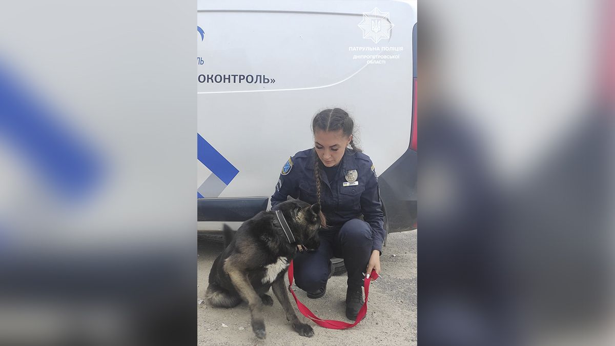 Минутка добра: в Днепре патрульная приютила бездомную собаку