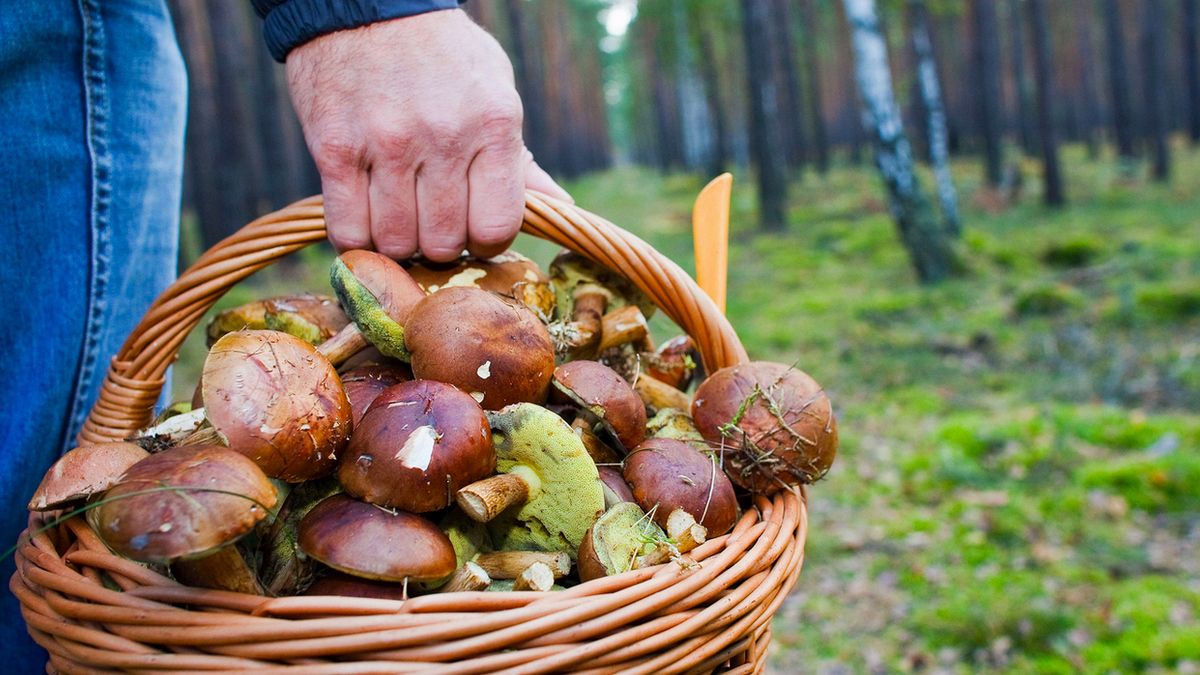 3 октября: какой сегодня праздник