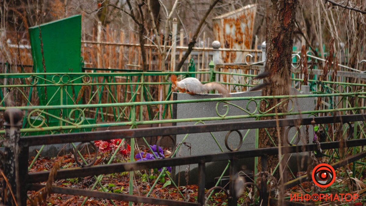 Сколько стоит умереть в Днепре