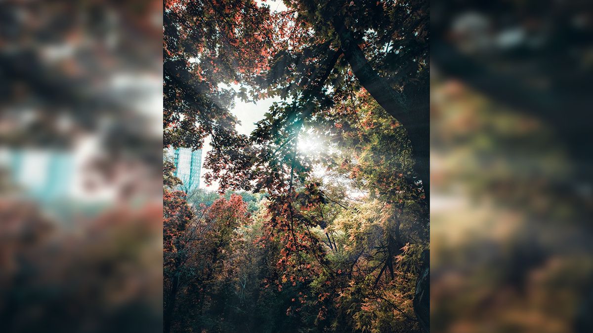 Если бы у Днепра был Instagram: топ красивых фотографий города