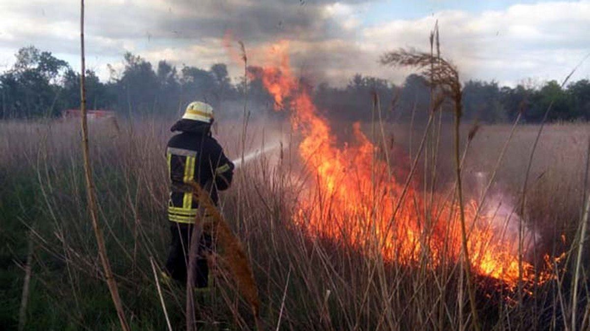Смертельные ДТП и пожары: итоги недели от спасателей