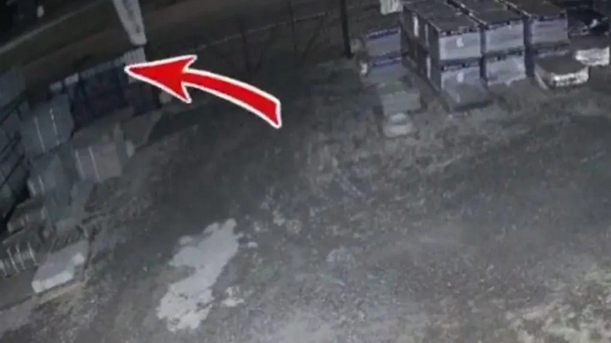 В Каменском женщину, которая легла на асфальт после ссоры с мужем, переехал BMW: видео момента