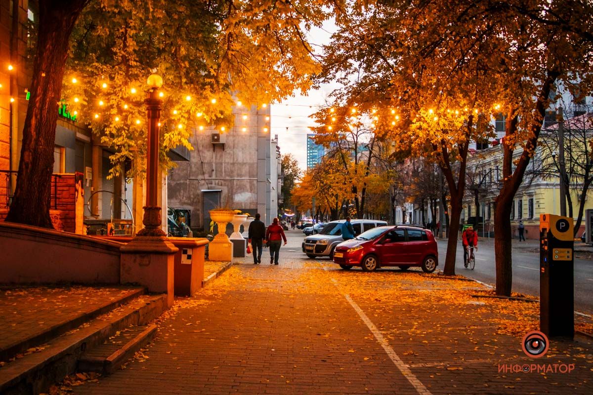 Осінні хитрощі водія, які збережуть авто, гроші та життя