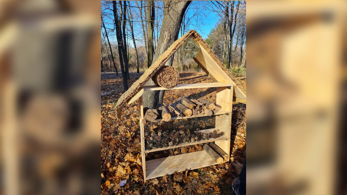 В Днепре в ботаническом саду появился отель для насекомых