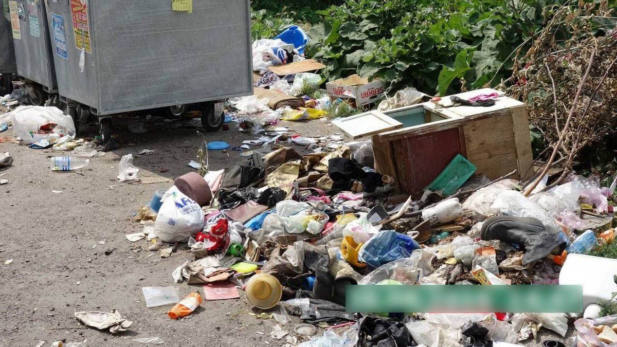 Сміттєзвалище або зелена зона на вул. Робоча, 174А: хто переможе