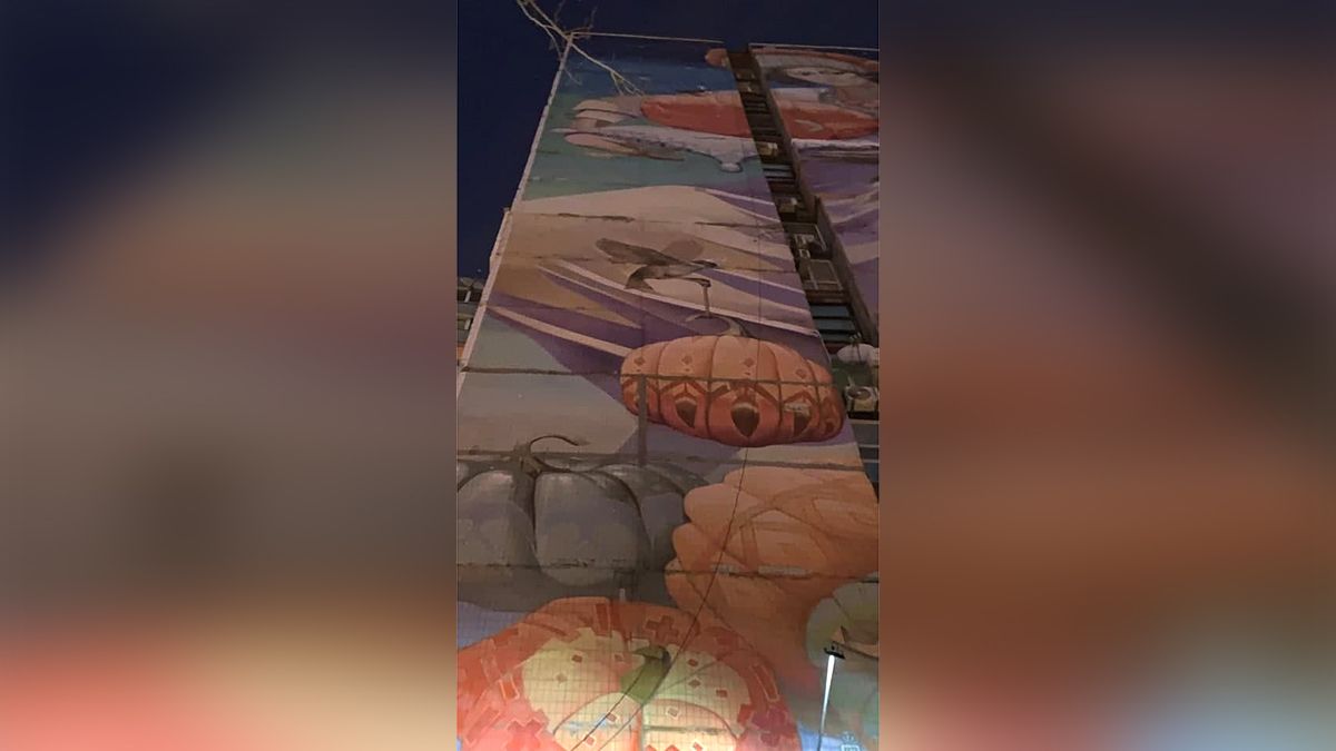 С мурала "Пани Днепра" на жилмассиве Солнечном убрали утепление