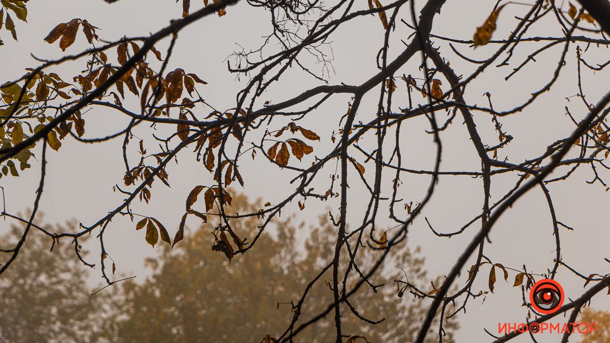 Погода на 27 ноября: в Днепре будет облачно, утром ожидается сильный дождь и ветер