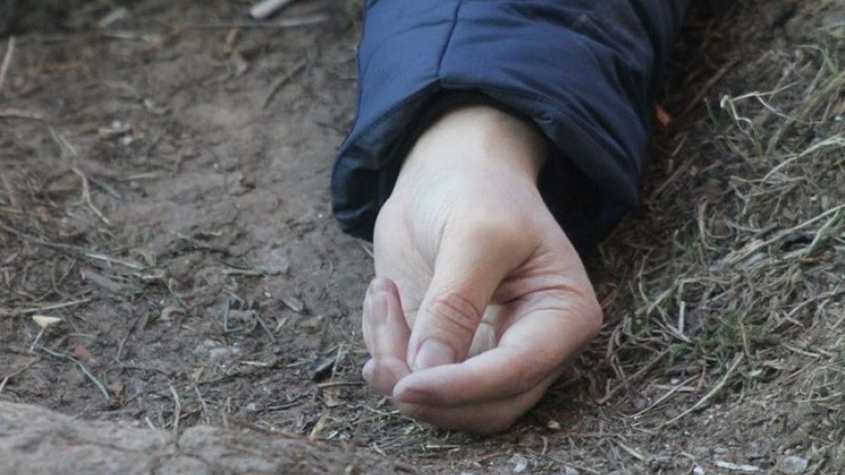 В Днепропетровской области на обочине дороги нашли частично съеденный собаками труп мужчины