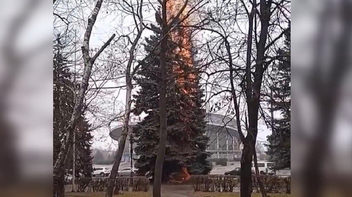 В Кривом Роге подожгли огромную елку: видео
