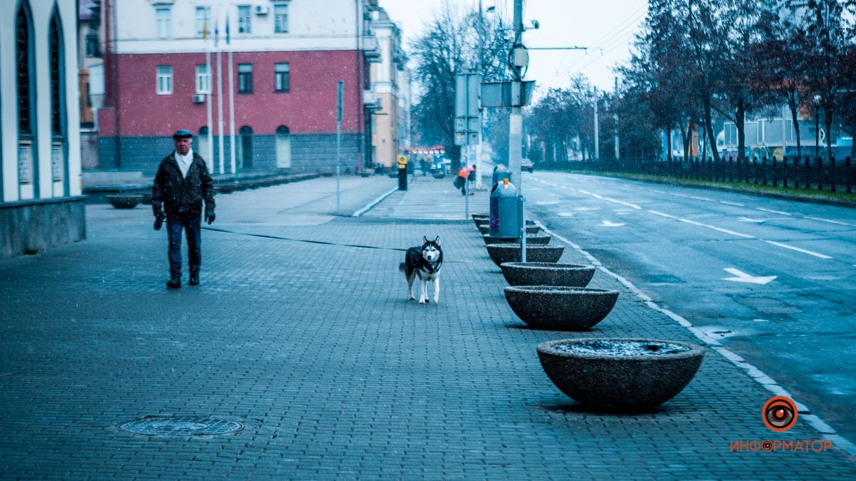 Все покрыто тонким слоем: в Днепре пошел снег