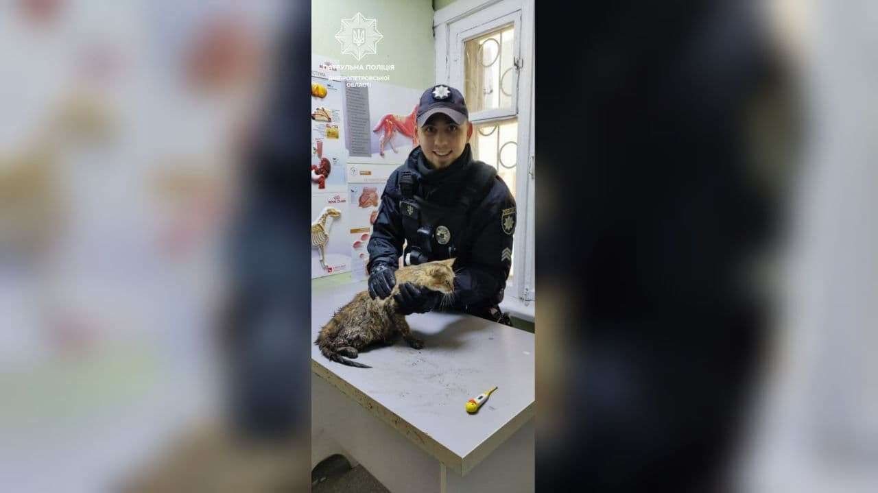 Когда вместо жетона - сердце: в Днепре полицейские спасли покалеченную кошку
