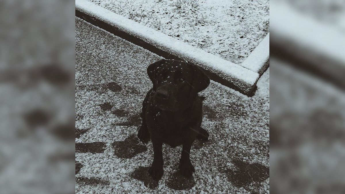 В Днепре выпал первый снег: топ фотографий из Instagram