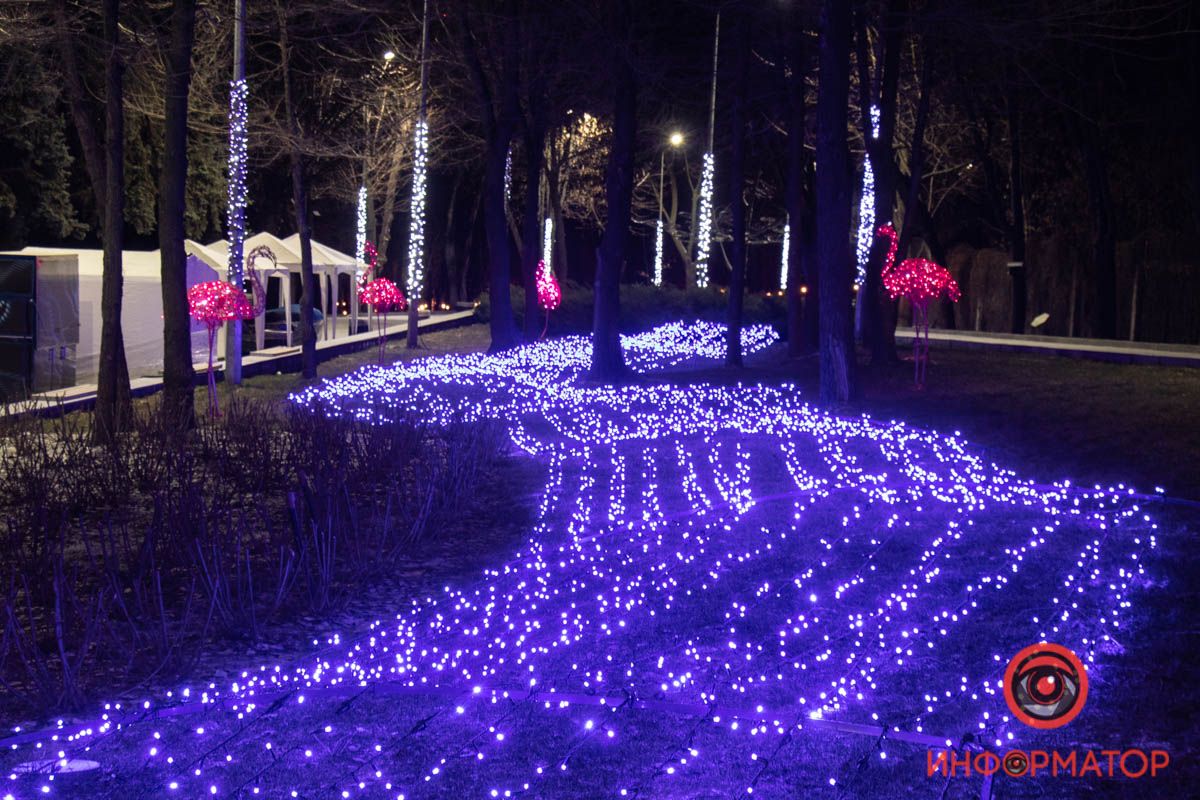 Как в преддверии Нового года в Днепре ночью выглядит парк «Зеленый Гай»