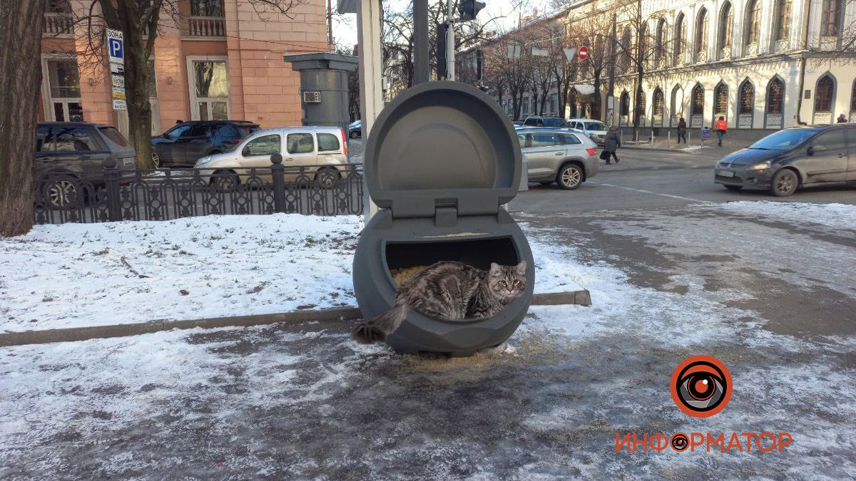 В Днепре на Яворницкого установили "серые ракушки": для чего