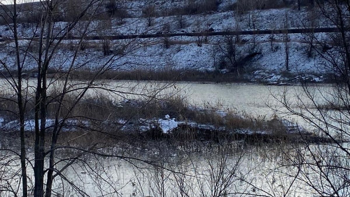 В Кривом Роге на предприятии прорвало дамбу: вода затопила дачи и повалила столбы