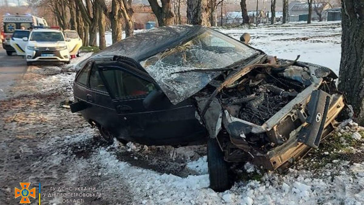 В Каменском ВАЗ влетел в дерево: пострадали двое детей