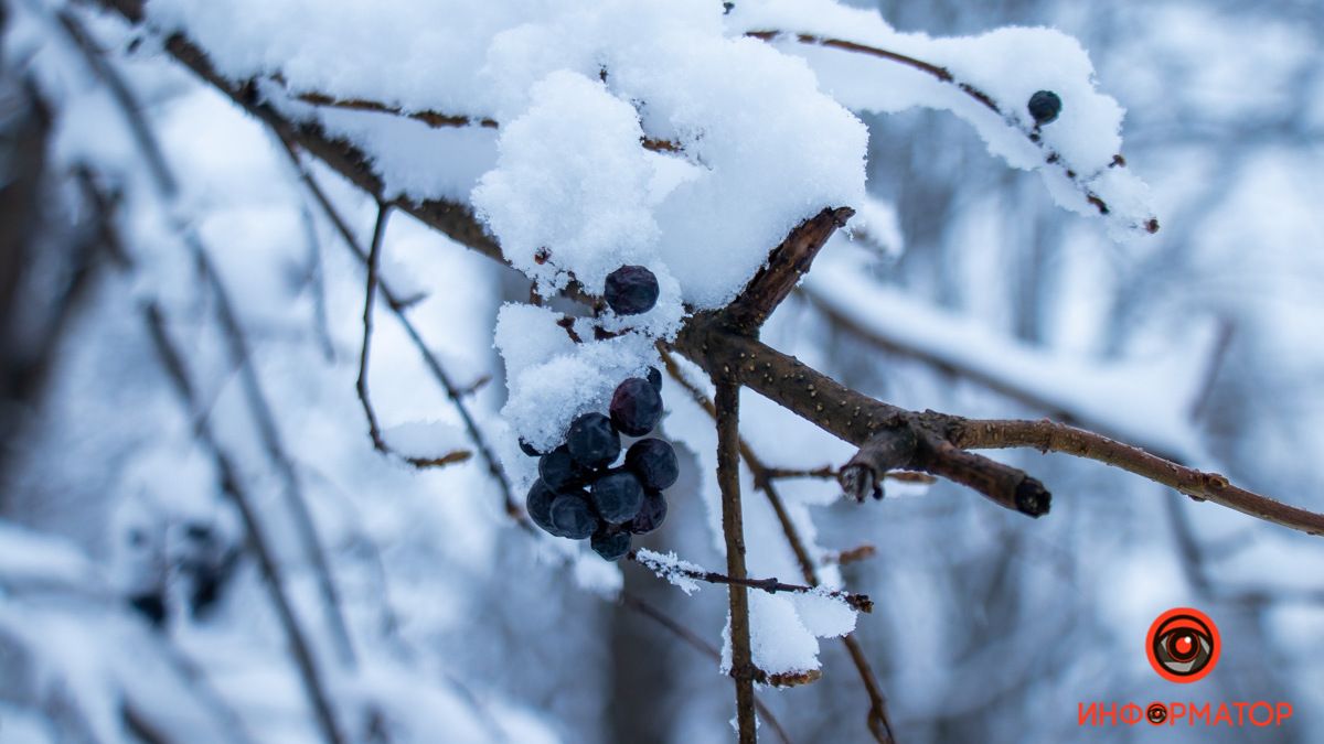 Погода на 27 декабря: в Днепре будет облачно, без осадков