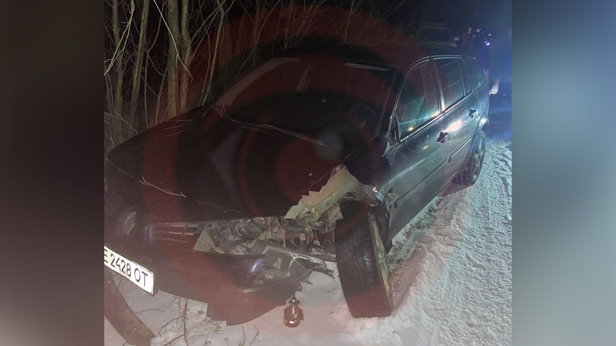 В Днепре на Зеленой Балке Renault врезался в дерево