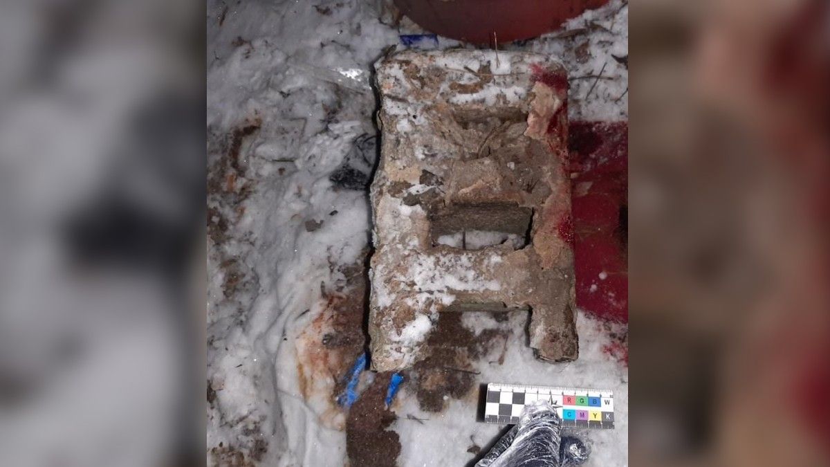 Ударил шлакоблоком по затылку: в Днепре задержали подозреваемого в убийстве женщины на Надежды Алексеенко