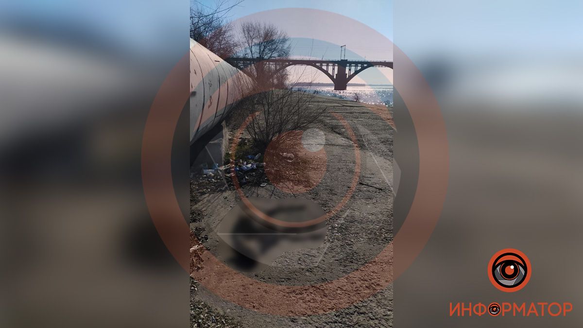 В Днепре на ж/м Солнечный нашли труп олененка