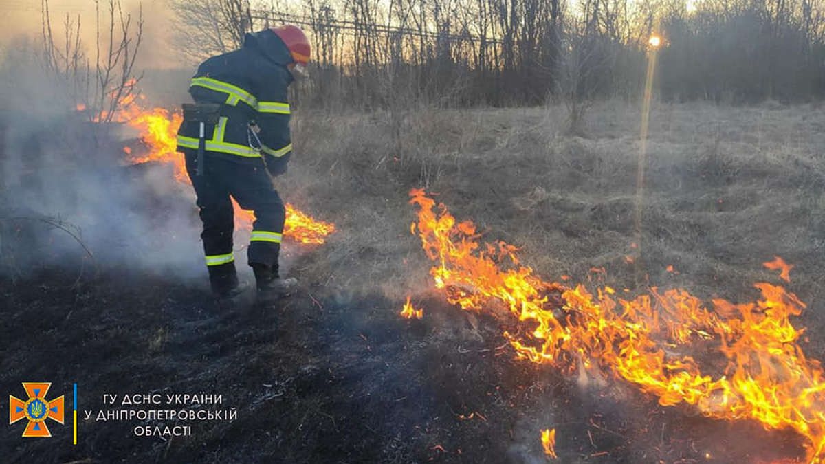 Жителей Днепра и области призвали не палить сухостой