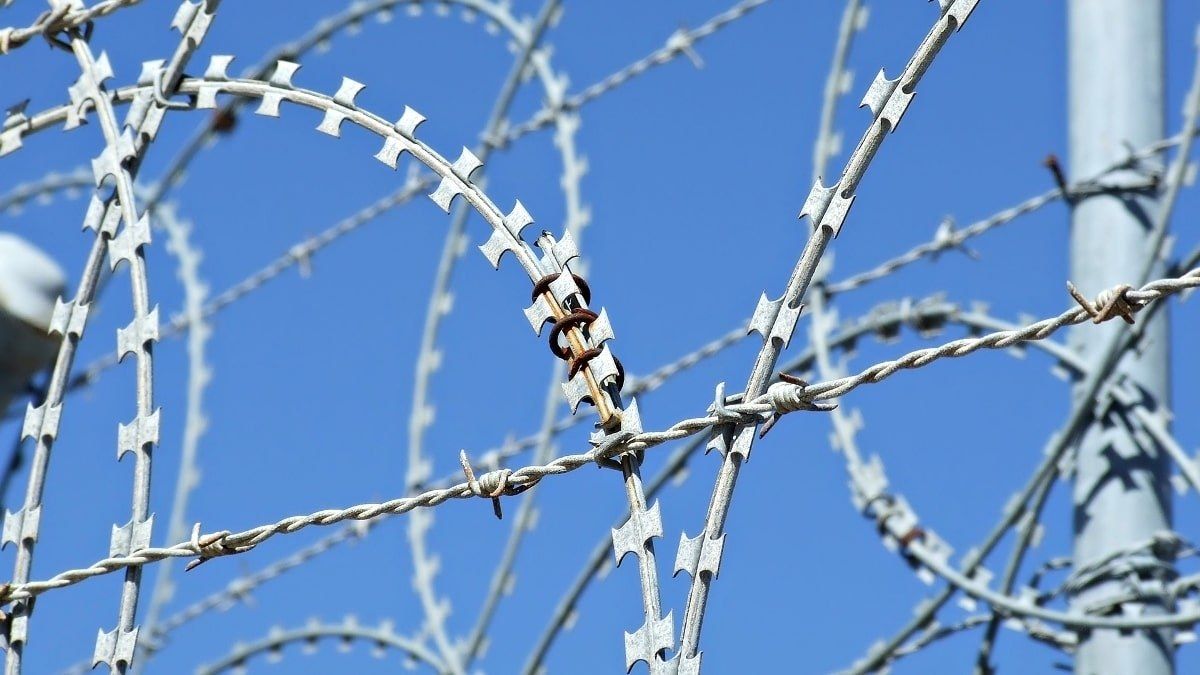 Участников боевых действий освободят из-под стражи для защиты Украины